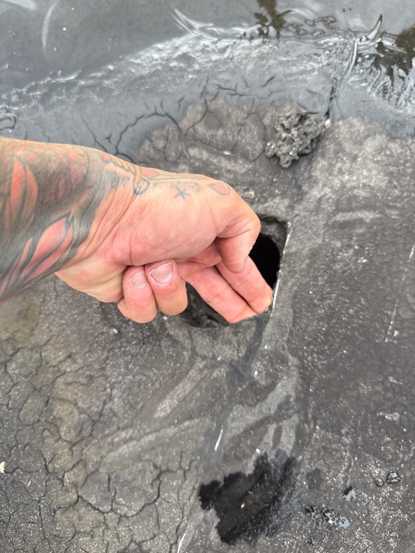 A hand indicating a full puncture through the roof membrane down to the deck.